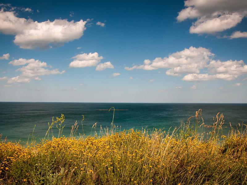 Շիֆեր նկուղ - բնական հյուսվածք