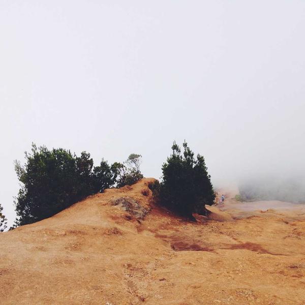 Բնական մարմար սալ դեկորատիվ